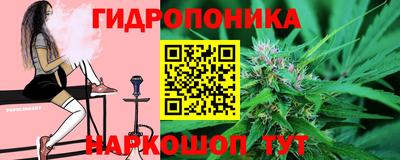 бошки Донецк